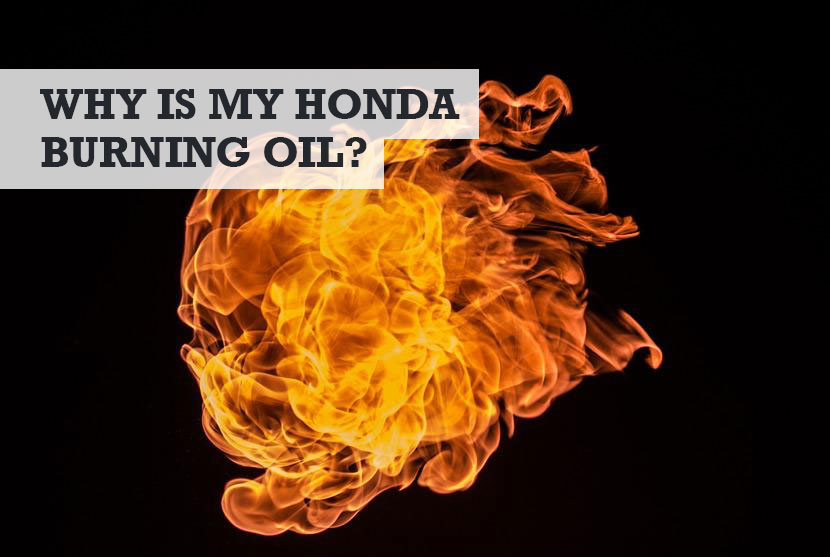 Why Is My Honda Burning So Much Oil?